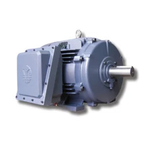 An explosion proof motor