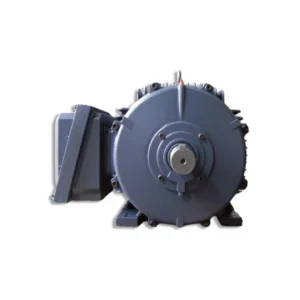 An explosion proof motor